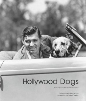 Hollywood Dogs