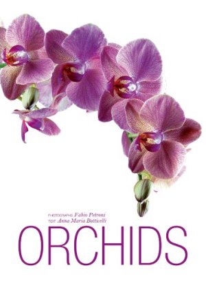 Orchids