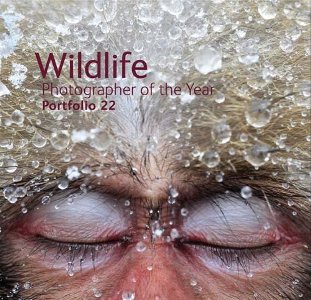 wildlife photographer of the year 22