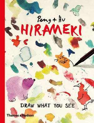 Hirameki, Draw What You See