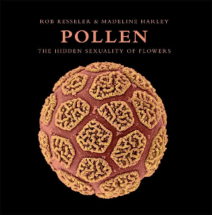 Pollen: The Hidden Sexuality of Flowers