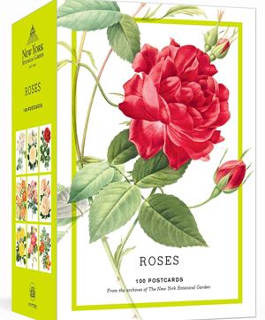 Roses: 100 Postcards