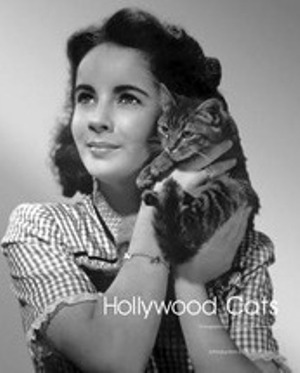 Hollywood Cat