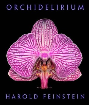 Orchidelirium