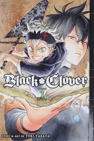 Black Clover, Vol. 1: The Boy's Vow